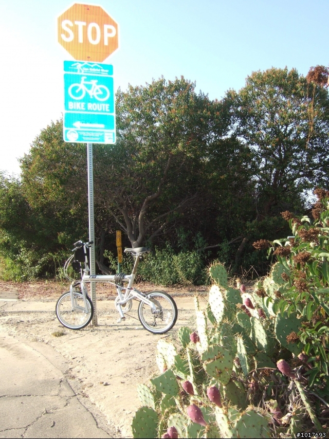 [LA遊記] 從荒地到海天無邊 - San Gabriel River Bike Route (圖多)