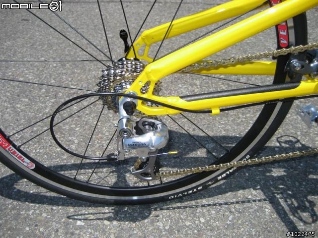Airnimal Chameleon 24吋折疊車