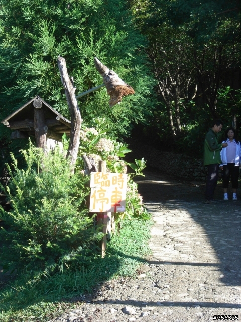 [遊記] 見證上帝的部落 司馬庫斯 單車2日遊