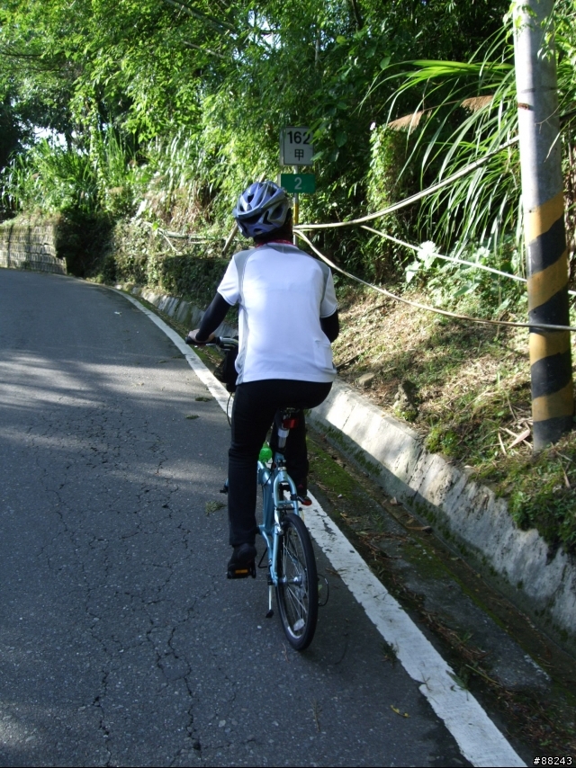 [小折遊記]征服36彎太平龍眼之旅