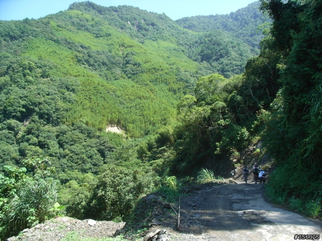 [遊記] 見證上帝的部落 司馬庫斯 單車2日遊