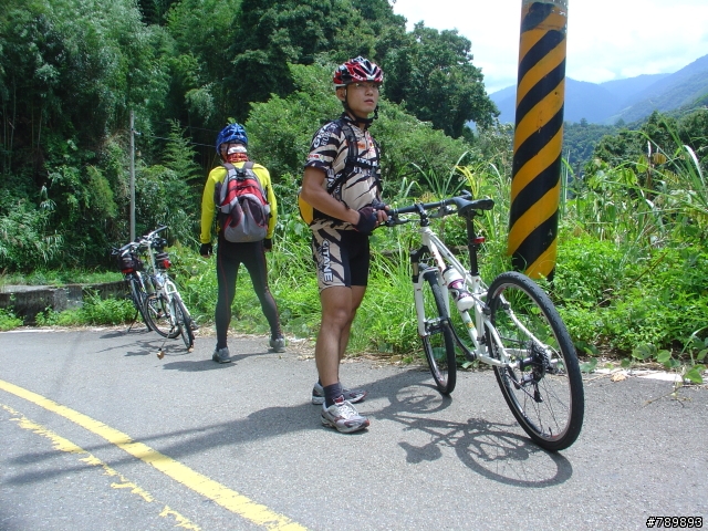 【遊記】丹尼爾之路