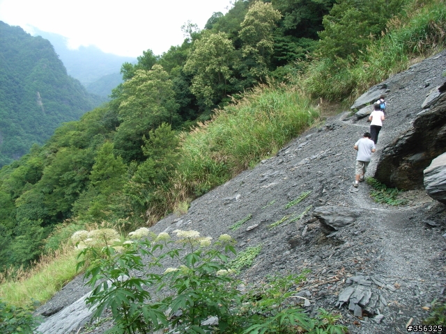 [遊記] 見證上帝的部落 司馬庫斯 單車2日遊