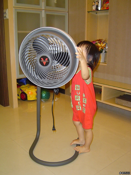 VORNADO 783B 渦流循環扇—極簡單開箱