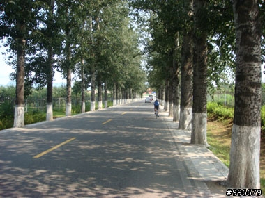 2008北京奧運公路賽100K試騎