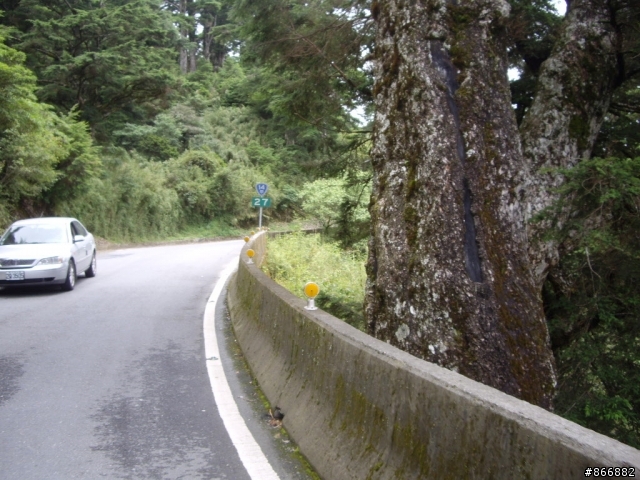 [分享]林北愛練車，戀上50愛上武嶺，僅供想像路況實景