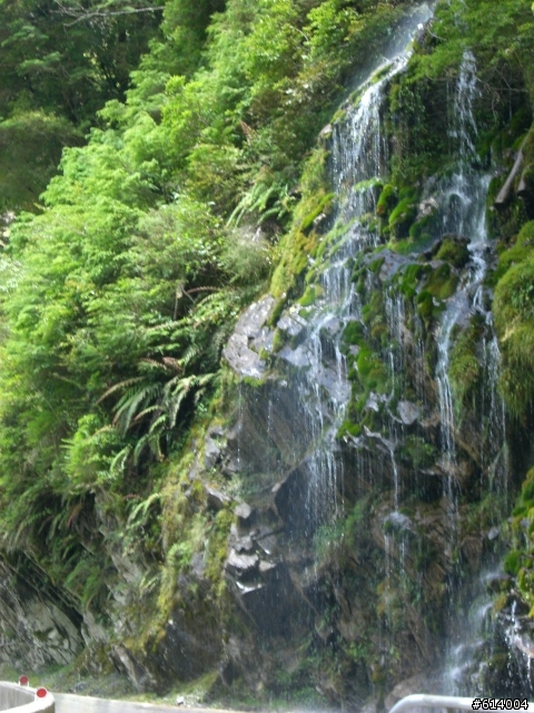 2人+1狼 六天五夜 上山下海環島去