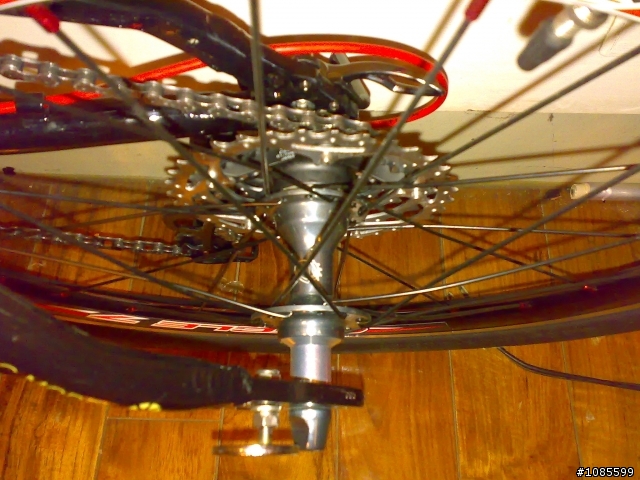 低調改裝DAHON JP8>JP18