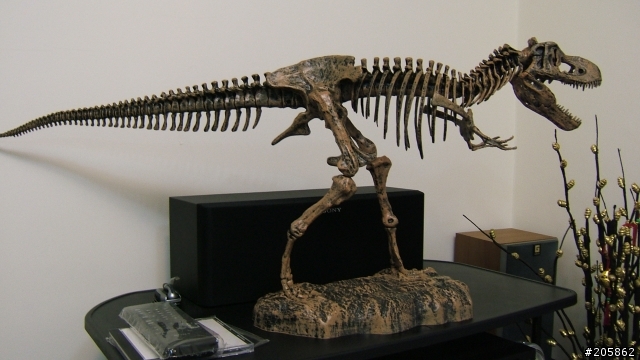 算不算是逸品呢?暴龍 Tyrannosaurus(霸王龍)