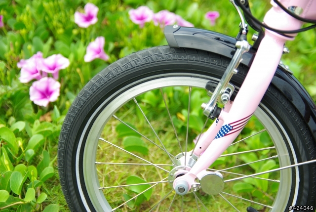 [9/11更新相片] Dahon Curve D3 粉紅小花版, 小花消失了??