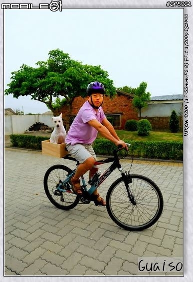 【登山車載狗DIY分享文】叮噹車窩的製作過程