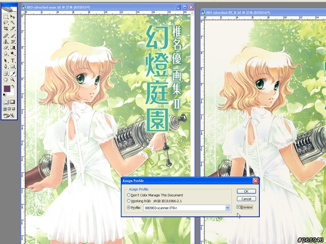 [080904] 平台底掃Microtek ArtixScan F1與色彩管理 - 其之二