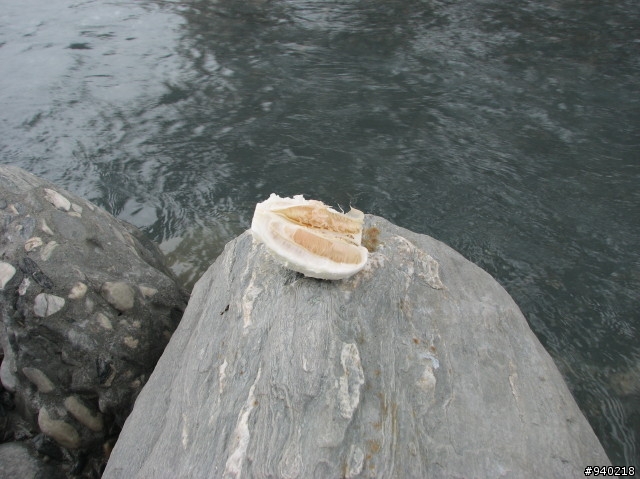 大折三鐵環島行