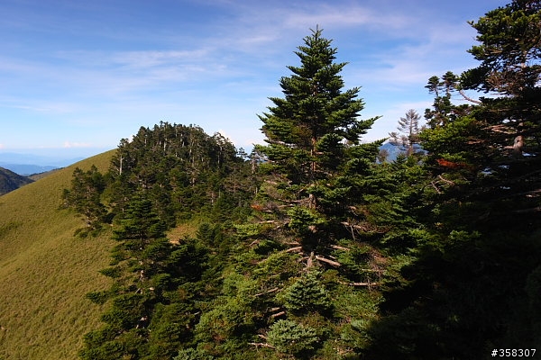 北、西合歡山