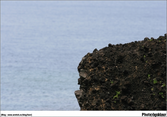 Canon EF 200mm F2.8L 旅行隨拍