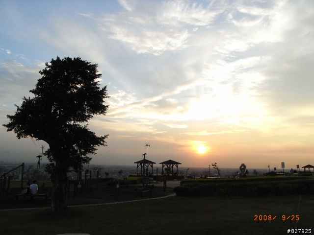 桃園市環保公園&楓樹村