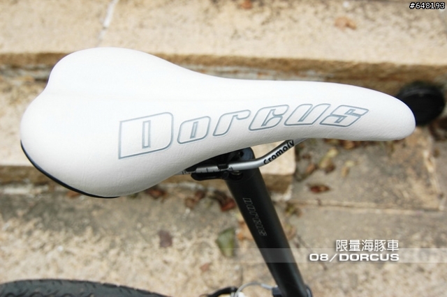 新車入手-DORCUS限量海豚--圖多