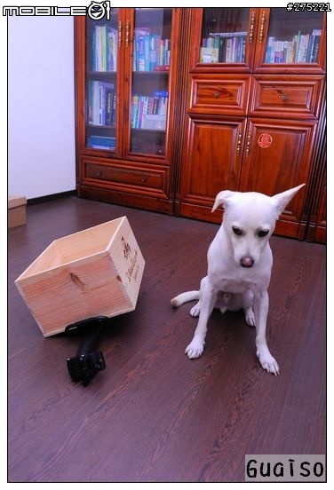【登山車載狗DIY分享文】叮噹車窩的製作過程