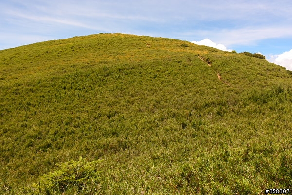北、西合歡山