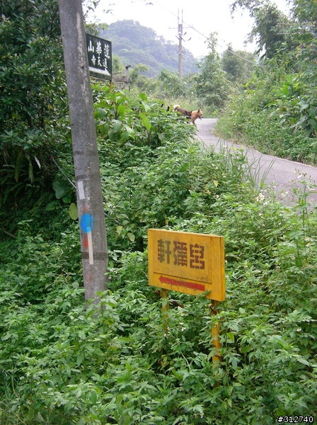 今日大發現!<大同山隱藏版景色優美林道>