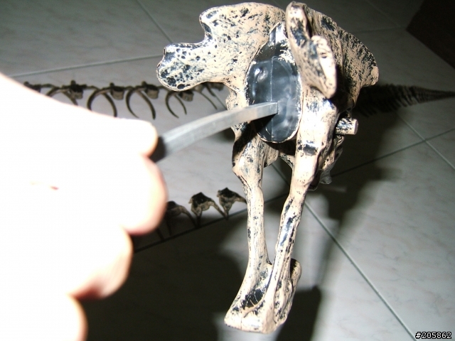 算不算是逸品呢?暴龍 Tyrannosaurus(霸王龍)