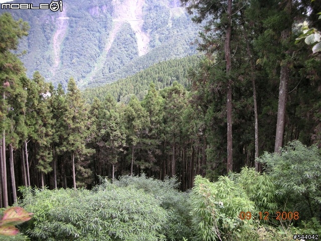 阿里山‧浪人獨行(09/10~09/12)