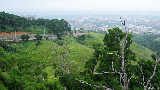 台中市 望高寮 + 華山路
