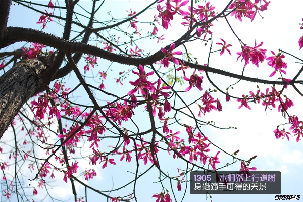 賀小麵FCR記行@08-0920 → 走106縣道不到平溪卻從石碇直上北宜也一定要破百