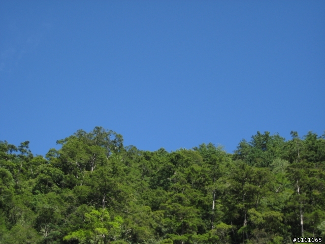 颱風前夕大雪山林道巡禮97.9.27