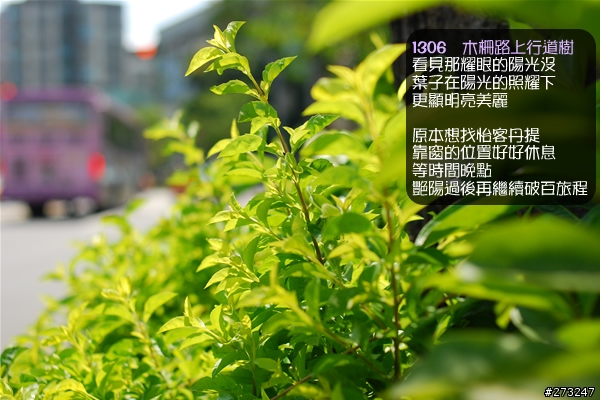 賀小麵FCR記行@08-0920 → 走106縣道不到平溪卻從石碇直上北宜也一定要破百