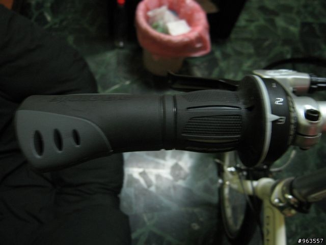 [開箱]一次兩台DAHON~圖多傷眼請包涵