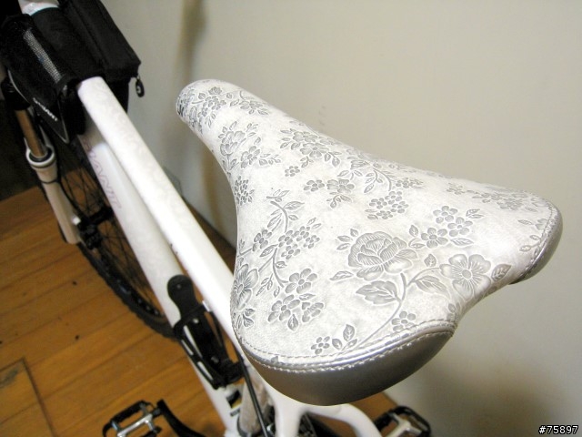 [分享]女王的新車 Giant Liv車系 ARETE 2