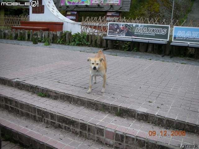 阿里山‧浪人獨行(09/10~09/12)