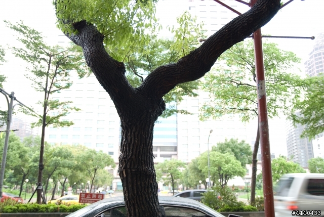 颱風天後依舊風雨無阻,前往綁架D300之粗略開箱小文(不成敬意,請看倌將就唄!)
