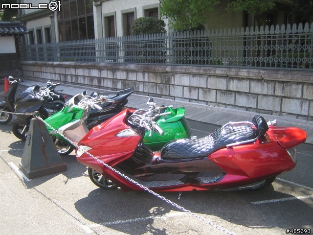 日本看到的車