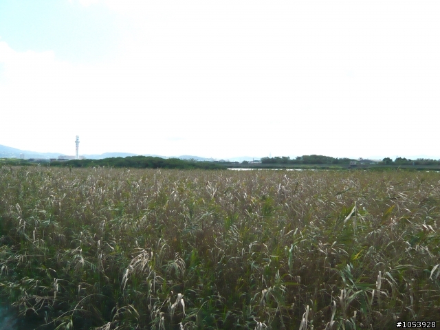 2008/09/26（五）終於登上大屯山主峰—找到助航台