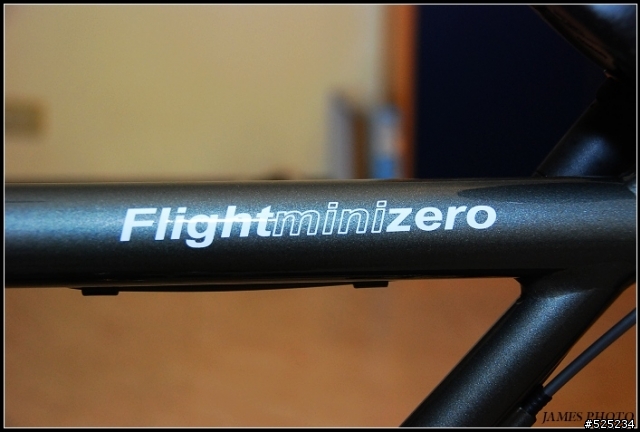分享-新入手捷安特MINI-ZERO