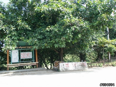 [環島]2008夏季機車環島-第3天-墾丁→嘉義(222P)