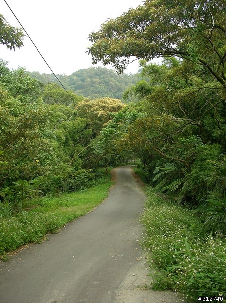 今日大發現!<大同山隱藏版景色優美林道>