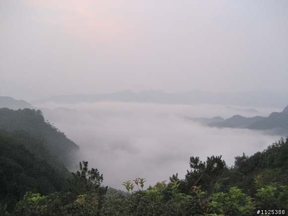 ★★★ 淩晨4點半，深山駕車返家！（有照片）