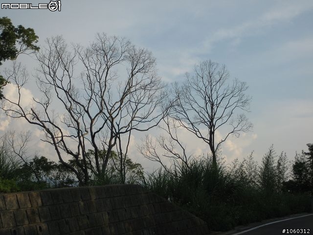 [小品遊記]金色光芒--黃昏下的寶山雙水庫
