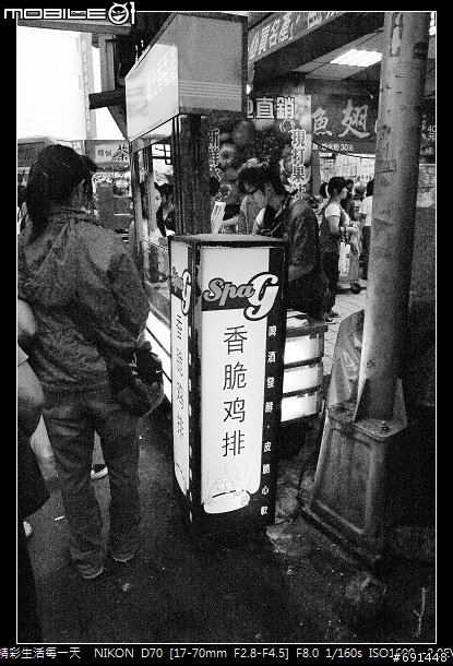 [偽ISO 6400] D70偽ISO6400 黑白測試.