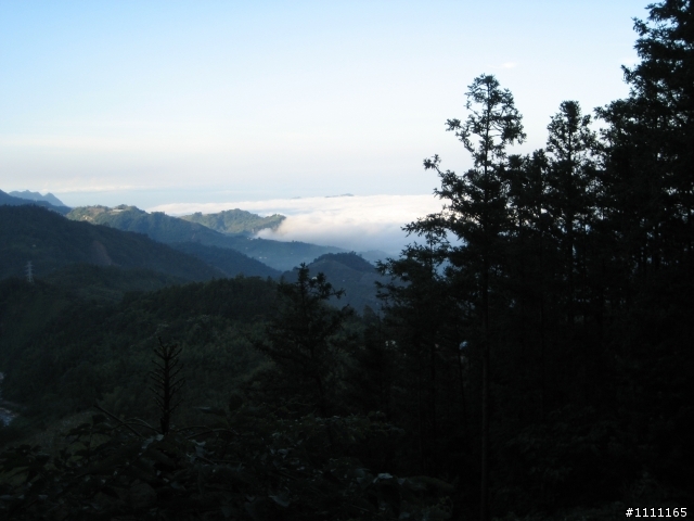 颱風前夕大雪山林道巡禮97.9.27