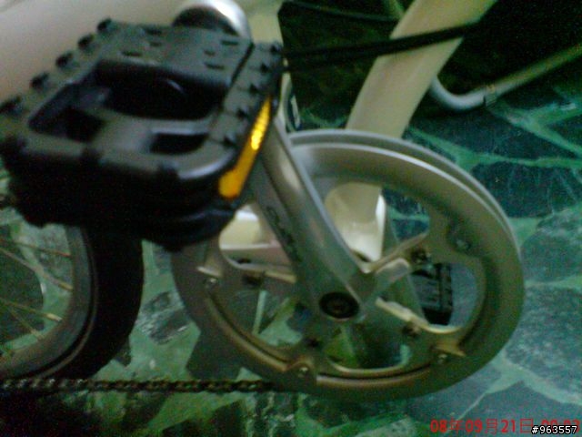 [開箱]一次兩台DAHON~圖多傷眼請包涵