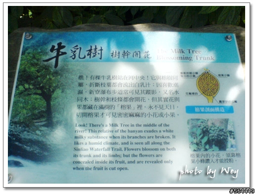 新寮瀑布