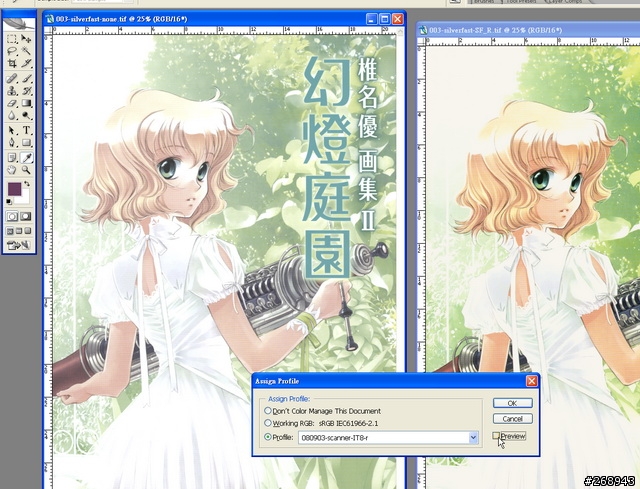 [080904] 平台底掃Microtek ArtixScan F1與色彩管理 - 其之二