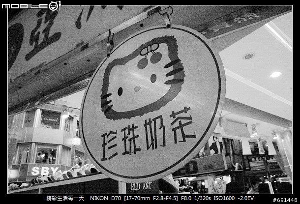 [偽ISO 6400] D70偽ISO6400 黑白測試.