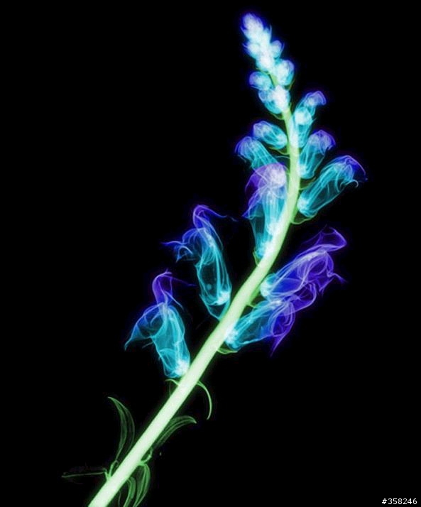 [請教]突然想起以前看過的一張照片,請問該怎麼拍呢!(附圖)