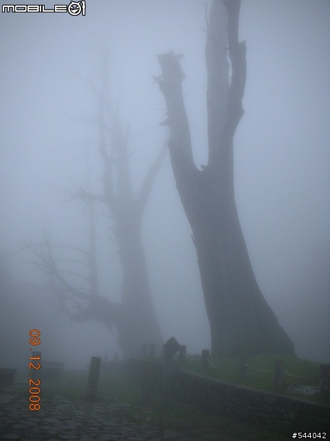 阿里山‧浪人獨行(09/10~09/12)