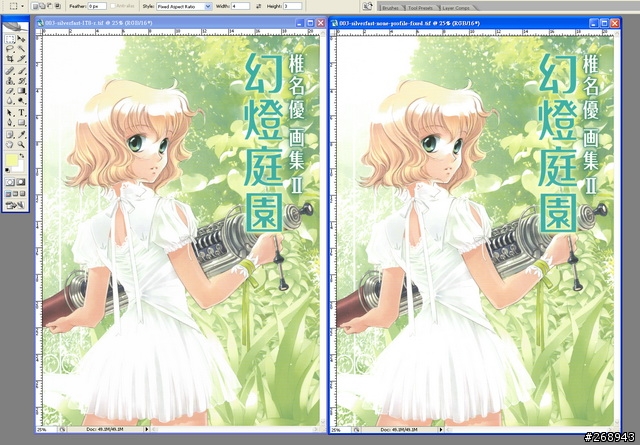 [080904] 平台底掃Microtek ArtixScan F1與色彩管理 - 其之二